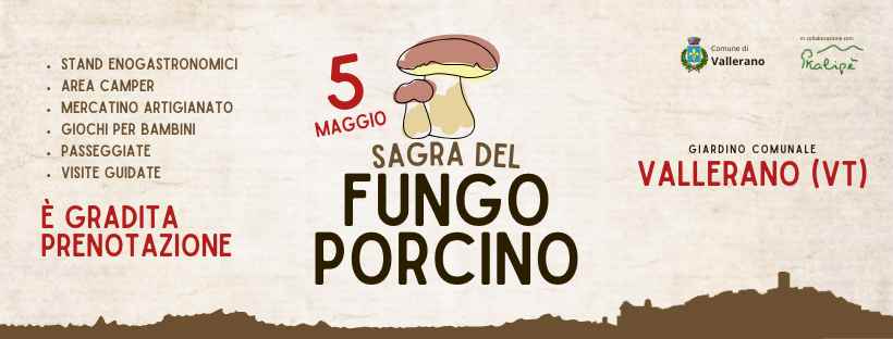 Vallerano (VT)
"Sagra del Fungo Porcino"
5 Maggio 2024