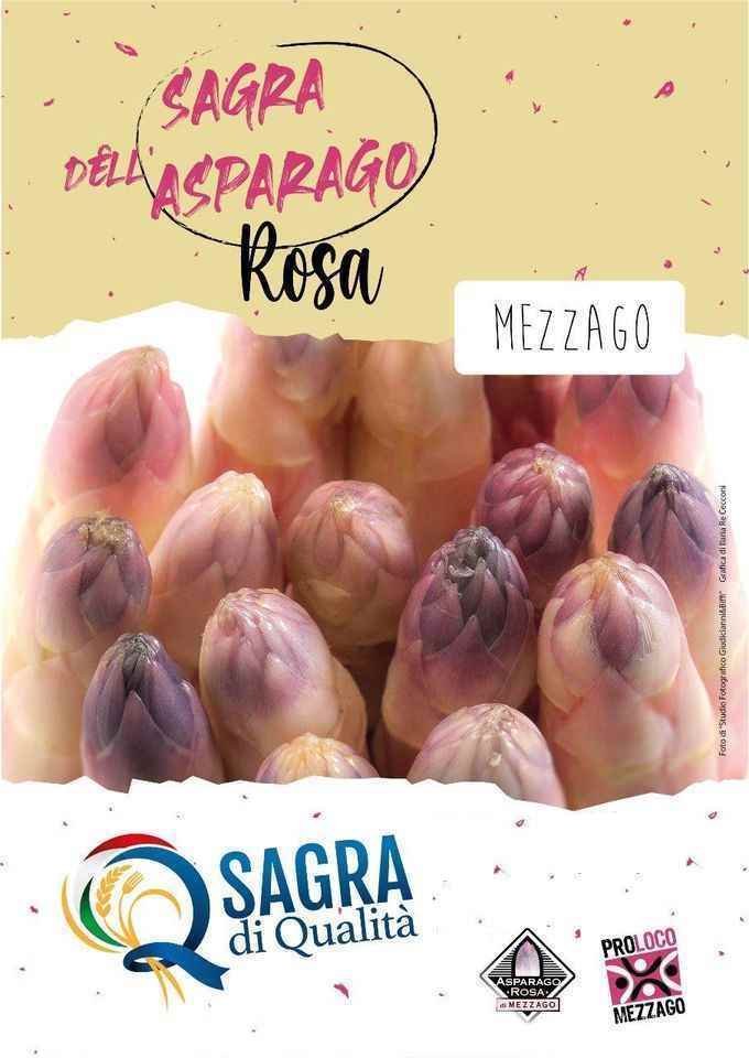 Mezzago (MB)
"Sagra dell'Asparago Rosa e Mercatino"
19 Maggio 2024