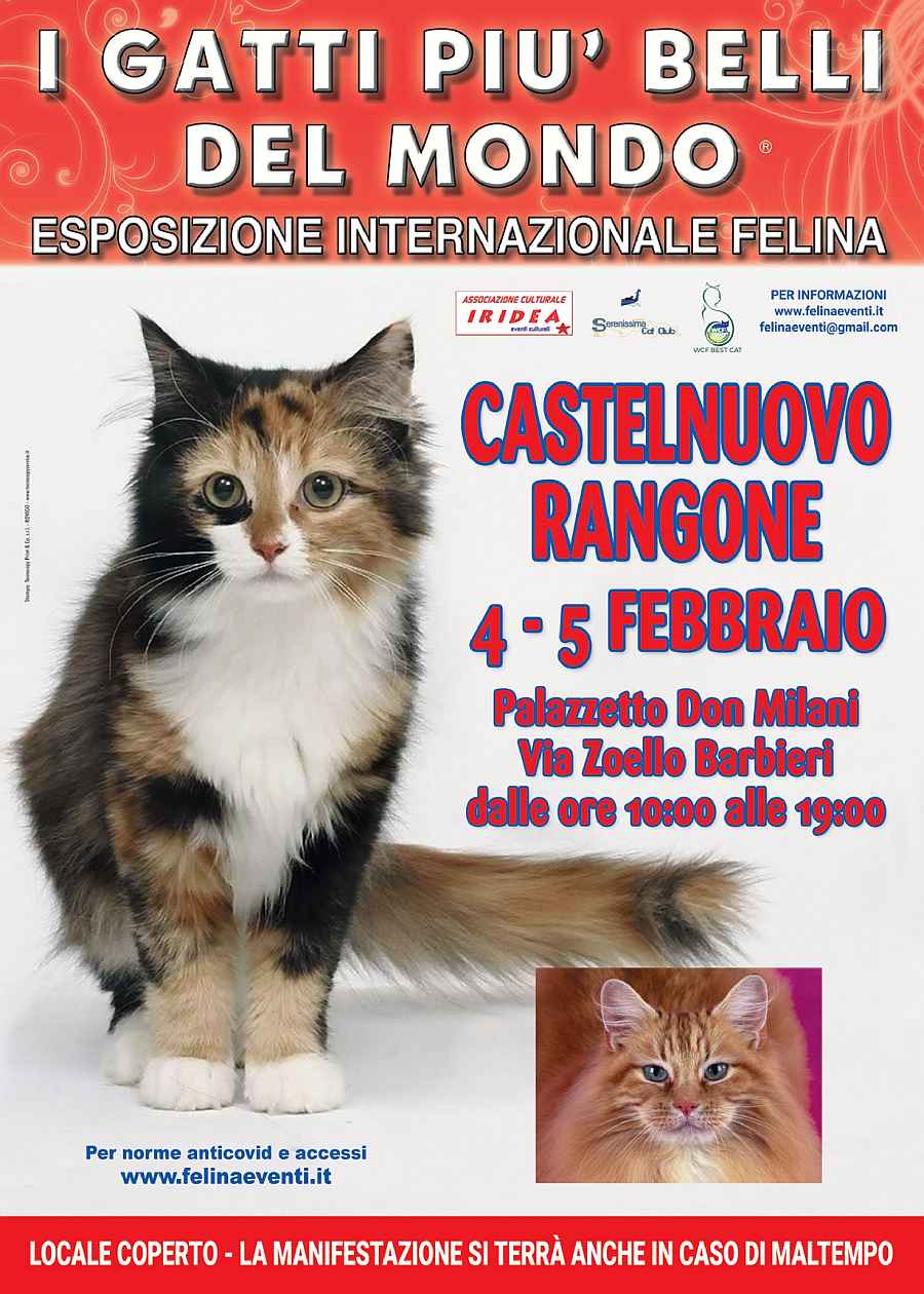 Castelnuovo Rangone (MO)
"I Gatti più Belli del Mondo"
4-5 Febbraio 2023