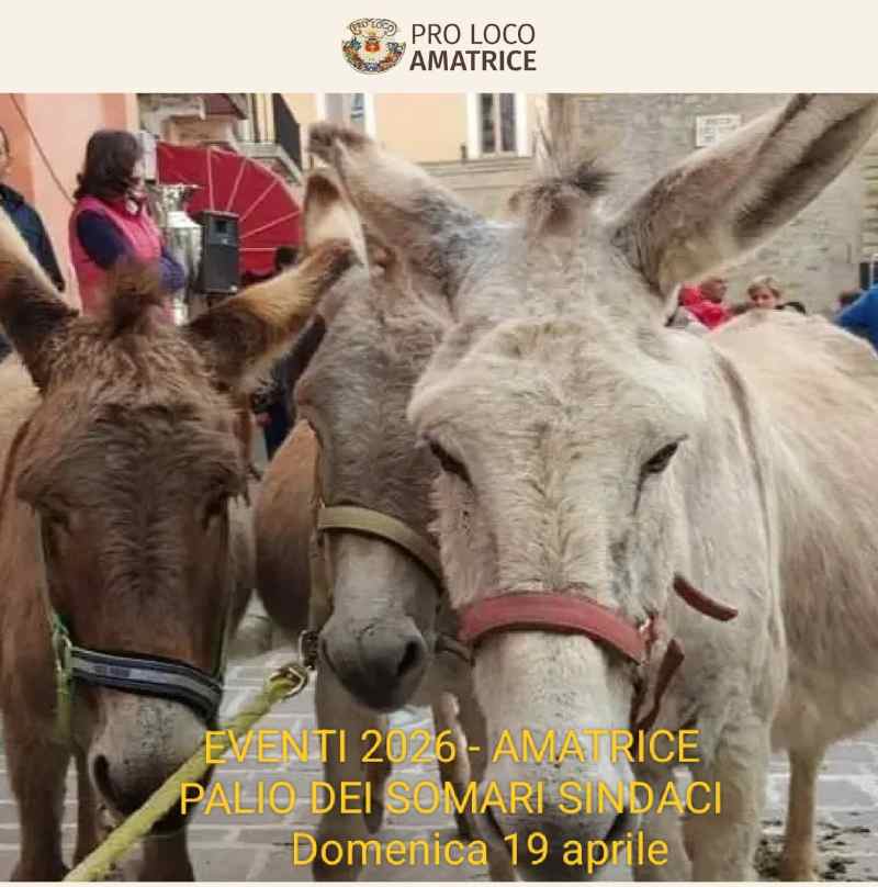 Amatrice (RI)
"Palio dei Somari"
19 Aprile 2026