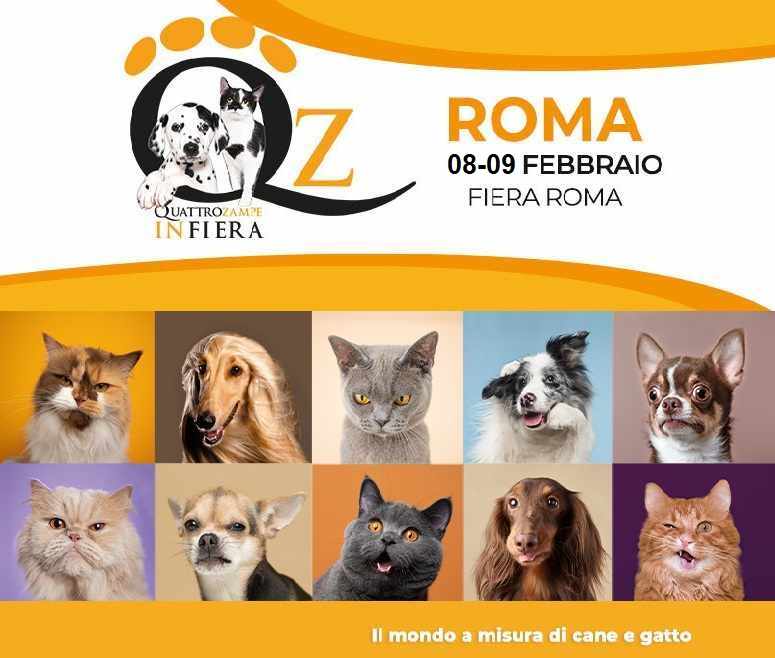 Fiera di Roma
"Quattro Zampe in Fiera"
08-09 Febbraio 2025