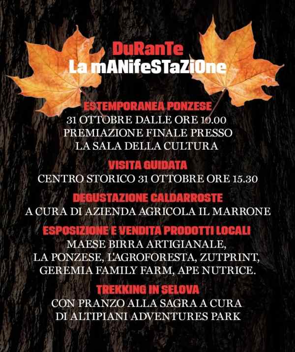 Musica e intrattenimento alla Sagra del Marrone ad Arcinazzo Romano