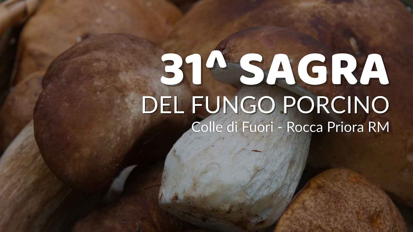 Colle di Fuori (RM)
"Sagra del Fungo Porcino"
5-6-7 / 12-13-14 Settembre 2025