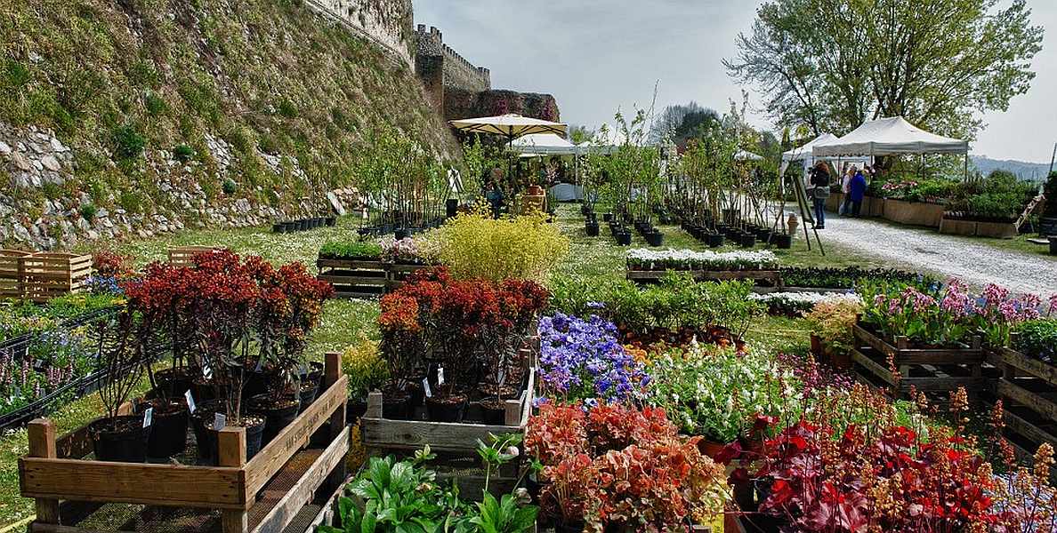 Lonato del Garda (BS)
"Fiori nella Rocca"
11-12-13 Aprile 2025