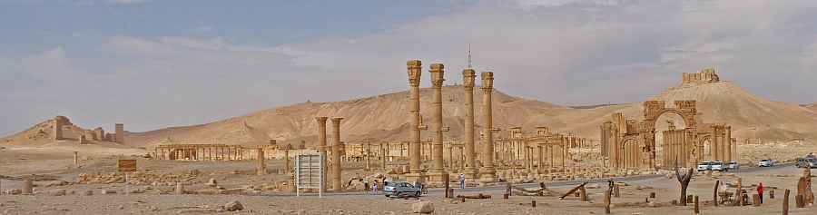 Erba (CO)
"Le storie straordinarie di Palmira"
dal 6 Maggio al 4 Giugno 2023