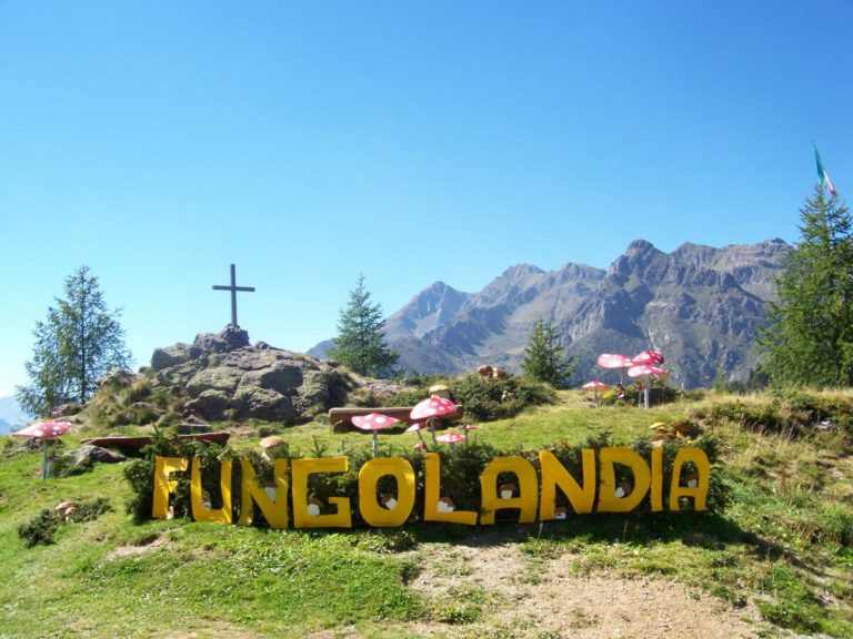 Alta Val Brembana
"Fungolandia - Rassegna dedicata al mondo dei Funghi"
dal 3 all'11 Settembre 2022