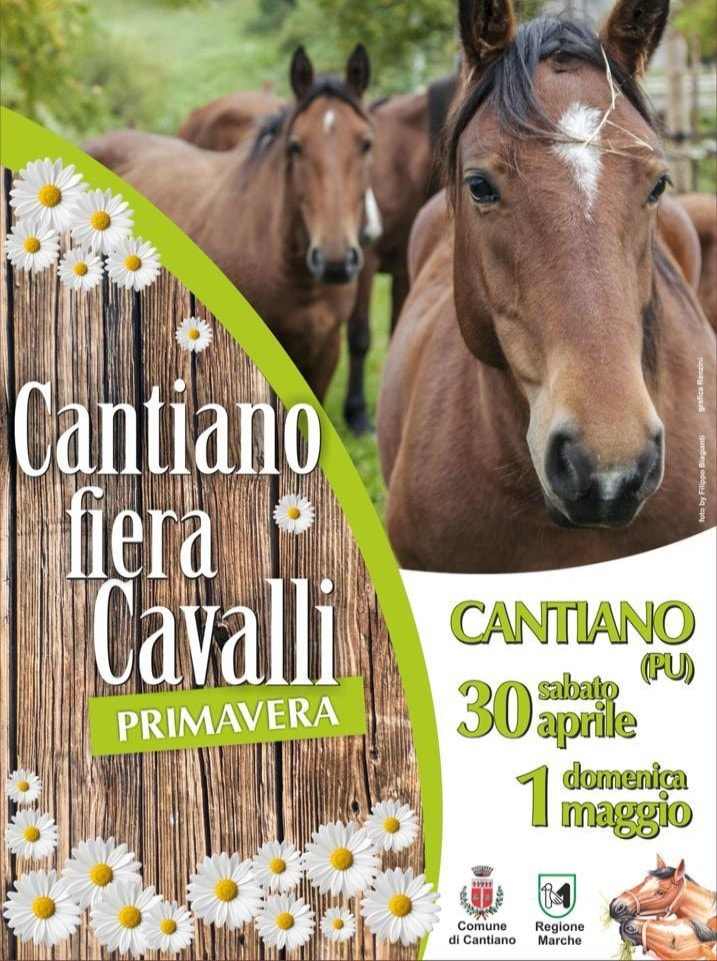 Cantiano (PU) 
"Fiera Cavalli Di Primavera"
30 Aprile 1° Maggio 2022