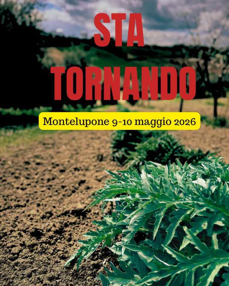 Montelupone (MC)
"Sagra del Carciofo"
9-10 Maggio 2026