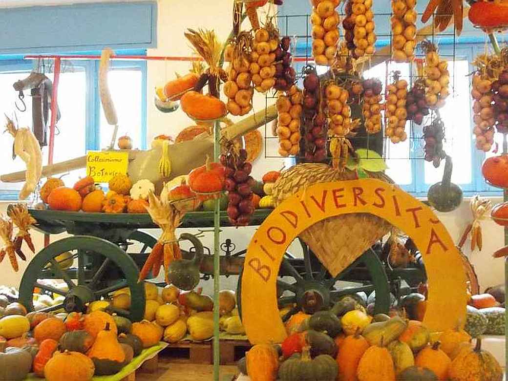 Andezeno (TO)
"La Casa delle Zucche - 32° Tutto Zucche"
dal 21 Settembre al 1° Dicembre 2024

