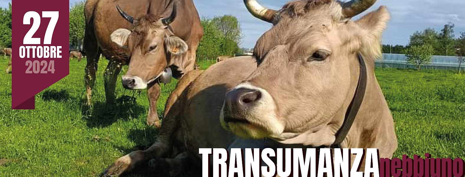 Nebbiuno (NO)
"La Transumanza" 
27 Ottobre 2024