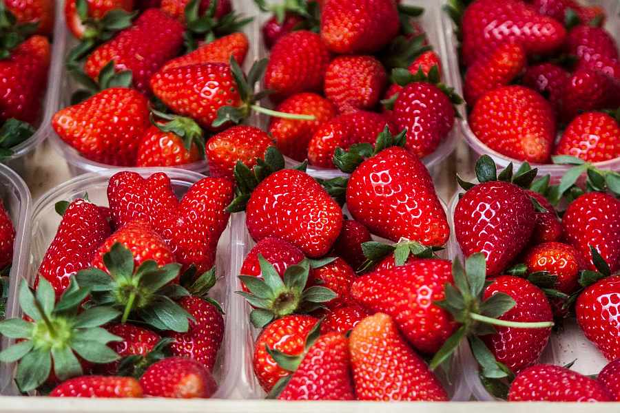 Terricciola (PI)
"Festival della Fragola"
03-04 / 10-11 Maggio 2025 